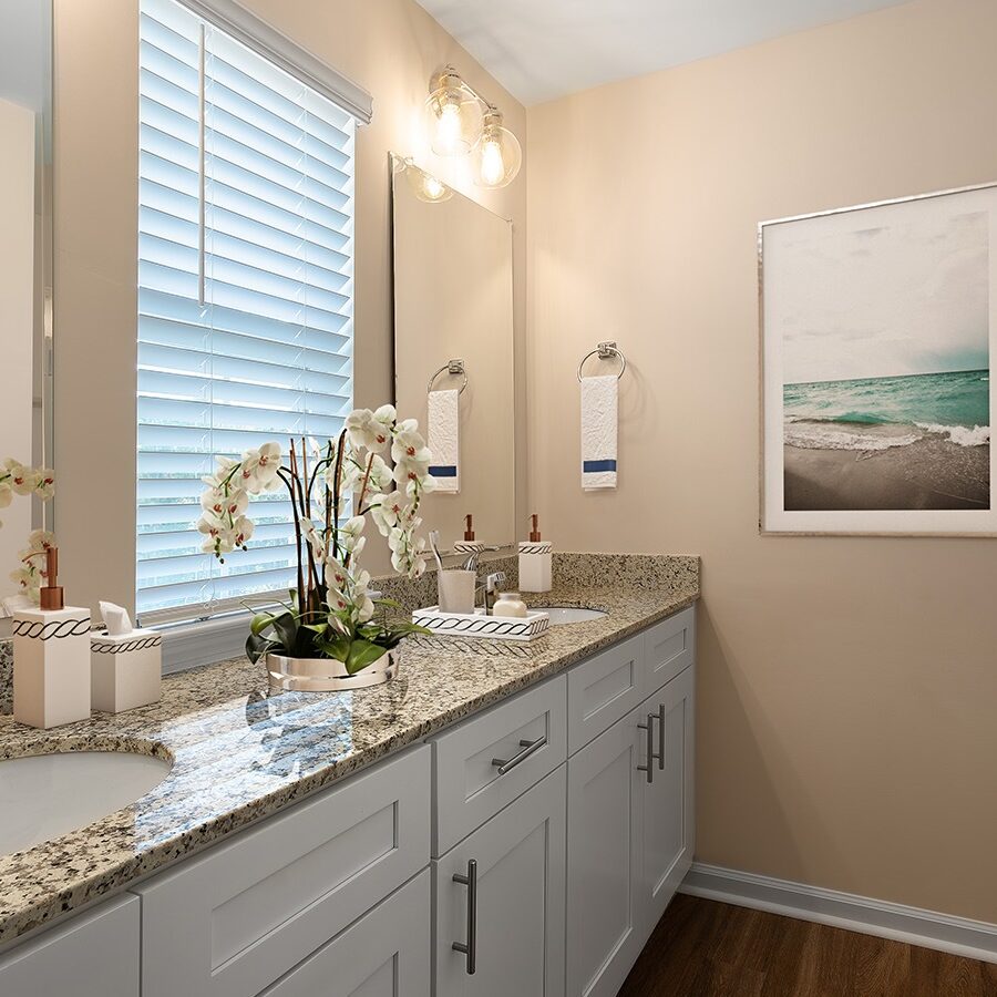 Hms Gallery Capecottages 4