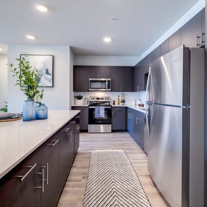 Hms Gallery Solace 1